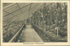 Ansichtskarte  Dahlem Botanischer Garten Gewächshäuser Kakteenhaus um 1910