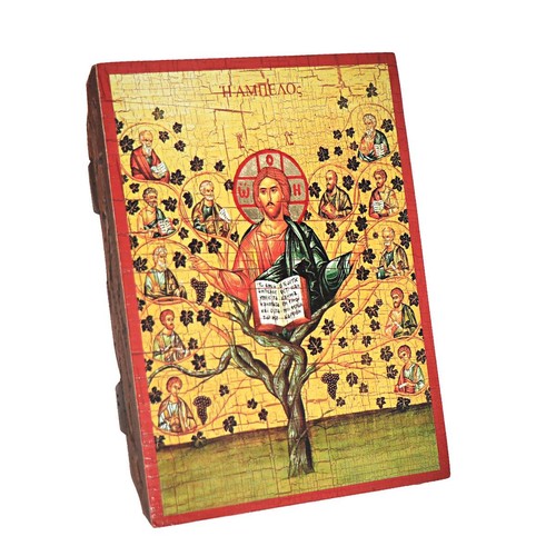 Weinstock christus mit - weinstock, 12