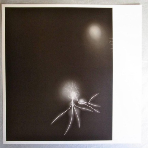 Hiroshi sugimoto lightning - hiroshi, "lightning