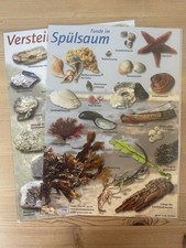 Strand, Ostsee, Nordsee, Meer