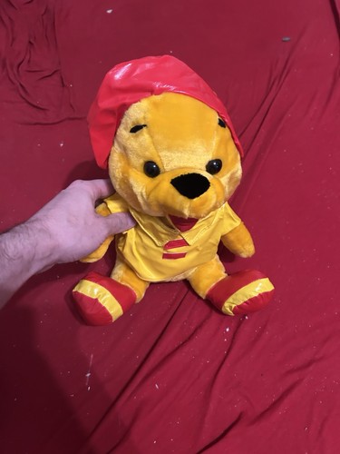 Winnie pooh mit - pooh, regenmantel