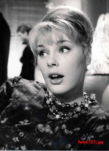 Elke sommer ein - sommer,