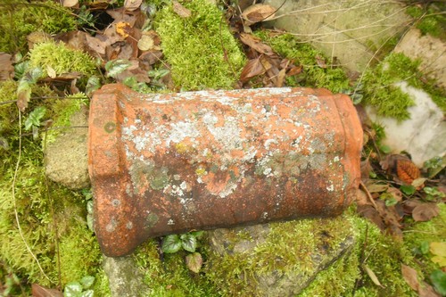 Alte bemooste firstziegel - bemooste,