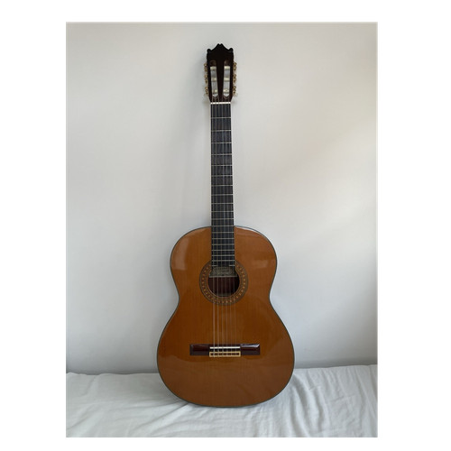 Ibanez ga80 klassische gitarre - ibanez,