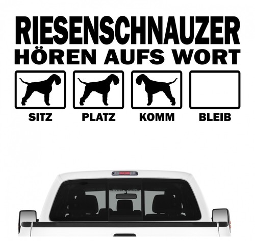 Riesenschnauzer schnauzer - riesenschnauzer,