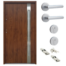 Ausstellungstür #PF02 Seitentür Hintertür ATU56 mit Zarge DIN Links 110x207 cm