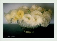 Ak Fotograf David Hamilton, Bouquets, Blumen in Schale - 10504404