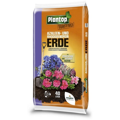 Plantop azaleen und - azaleen-,