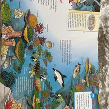 WAS IST WAS Junior Band 17