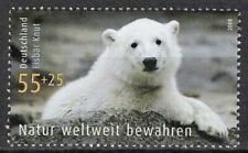 KNUT DER EISBÄR - Bund MiNr 2656 postfrisch - Umweltschutz 2008