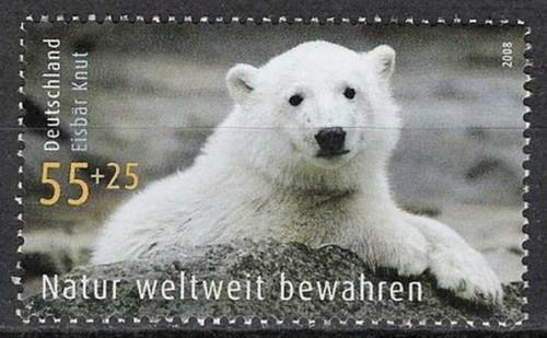 Knut der eisbär bund minr - eisbÄr,