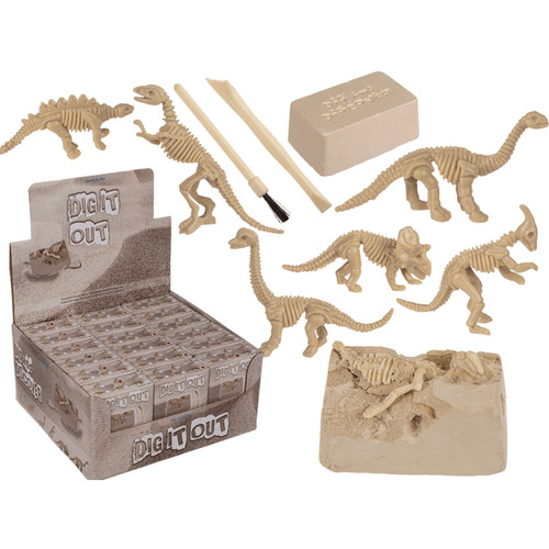 Dinosaurier skelett - dinosaurier,