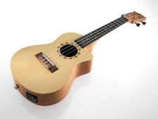 Kokio fichte mahagoni - fichte-mahagoni, cutaway