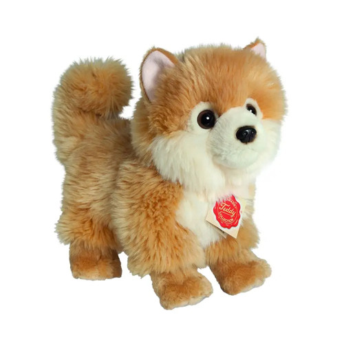 Teddy hermann zwergspitz 22 - teddy, zwergspitz,