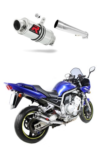 Fzs faz 1000 2001 - fzs,