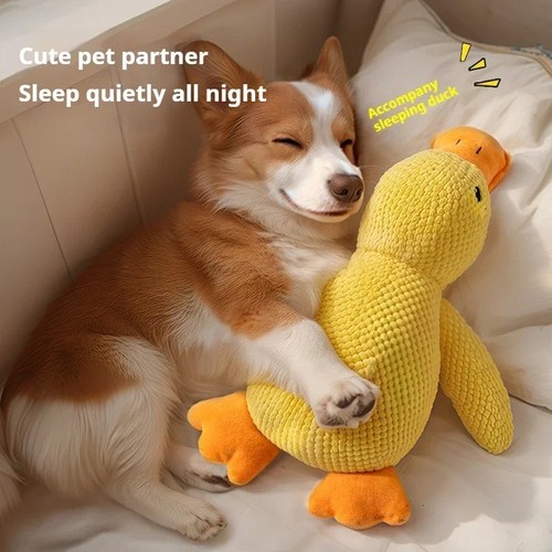 Anti stress ente hund - anti,