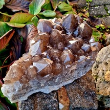 🌈Video 💎TOP XL