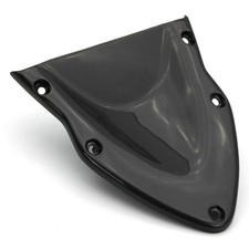 Carbon Frontverkleidung für