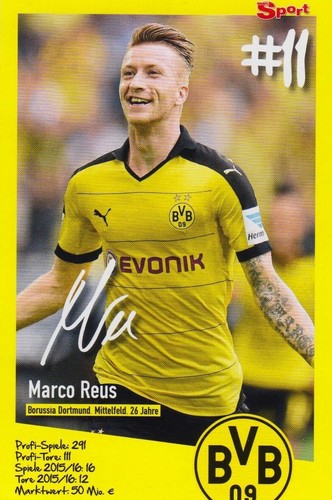 Bravo sport superstar 2015 - sport, #