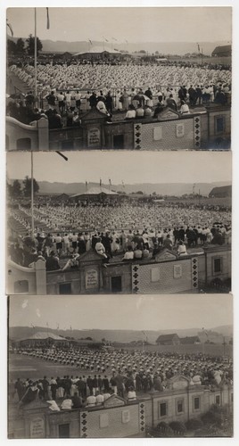 Foto kemnitz grottau - foto,