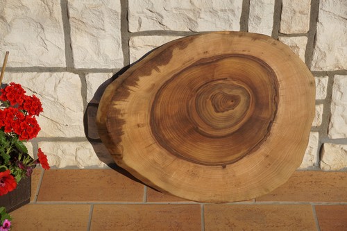 Baumscheibe groß holzscheibe - baumscheibe,