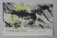 0564/ Stellingen, Carl Hagenbeck Tierpark Zoo, Tiger Löwen um 1905