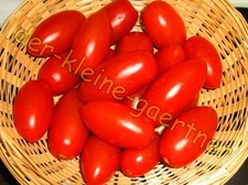 DATTELTOMATE DATTELTOMATEN