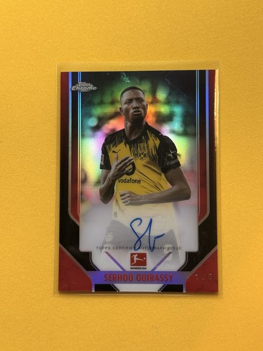 Serhou guirassy on card - serhou,