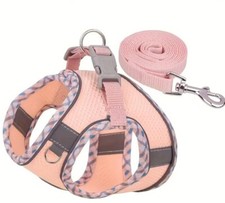 Hundegeschirr in Neuen