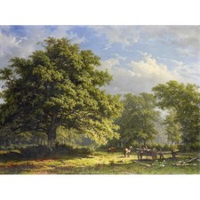 Roth blick wald - roth,