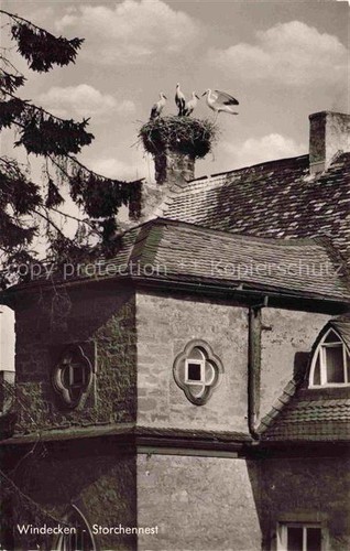 Windecken storchennest - windecken,