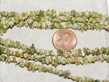 Zierliche Jadegrüne Farbige