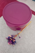 🌺 Tupperware Behälter 1,7