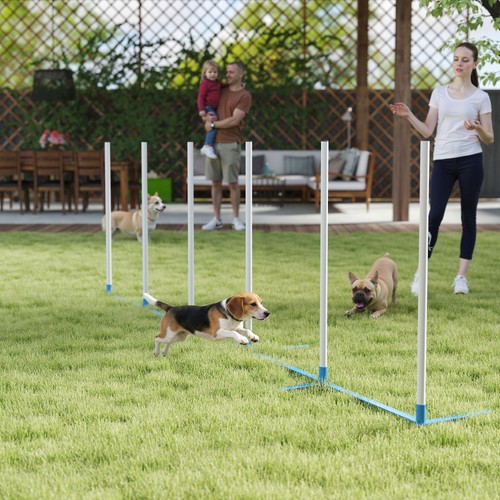 Pawhut hunde agility training - pawhut,
