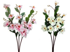 Magnolien 105 xxl - 105,
