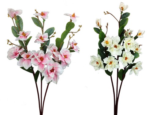Magnolien 105 xxl - magnolien,
