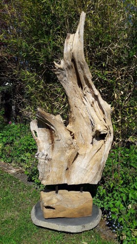 Teak wurzelholz skulptur asia - wurzelholz,