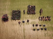 Skaven  kleine Armee bemalt