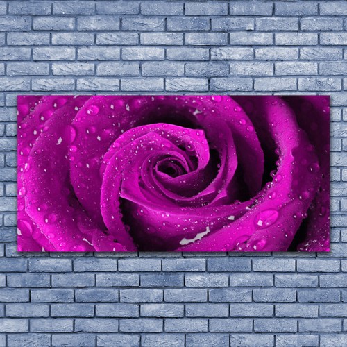 Acrylglasbilder wandbilder - acrylglasbilder,
