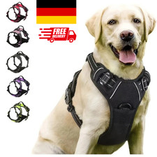 Hundegeschirr