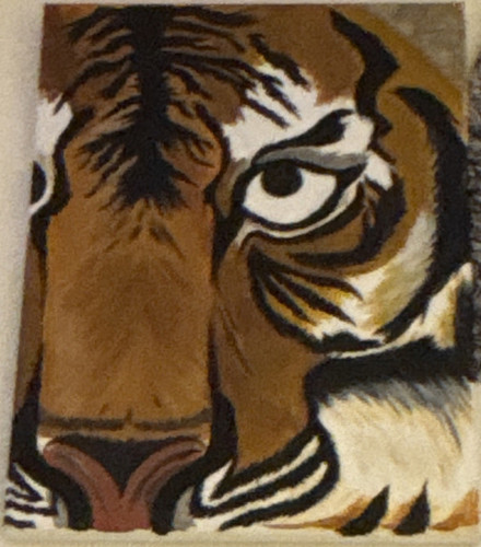 Tiger motiv bild - motiv,