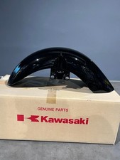 Kotlfügel vorn Kawasaki