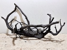 Schwarze Moorwurzel XL Aquariumwurzel, Mangrove, #572 L50 x T20 x H33 cm