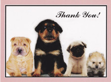 Rottweiler  *  Pomeranian *  Mops  &  Shar Pei  PUPPY    POSTKARTE