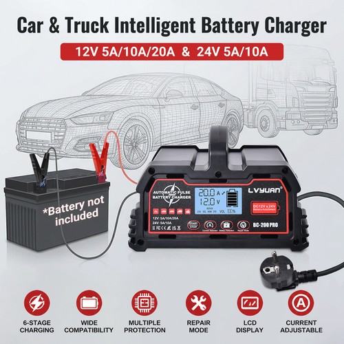 20a 12v 24v auto - 24v,