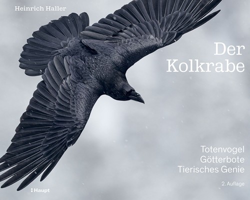 Der kolkrabe totenvogel - der, –