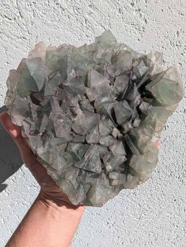 Schöne großstufe fluorid - schöne,