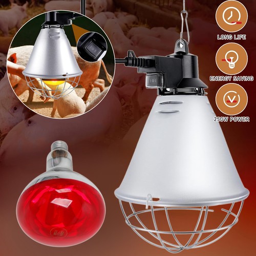 E27 wärmelampe rotlichtlampe - wärmelampe,