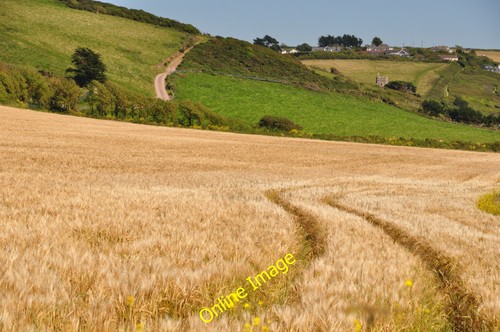 Foto 12x8 south hams - 12x8,