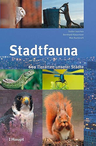 Stadtfauna max ruckstuhl - stadtfauna,